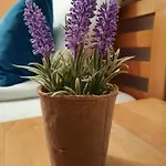 Kovaci Apartamento