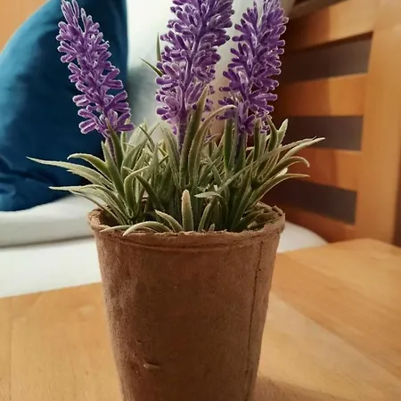 Kovaci Appartement