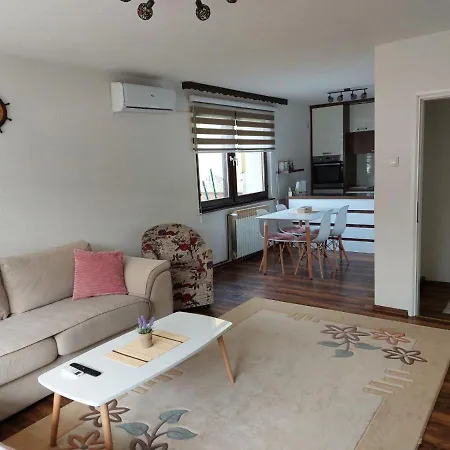 Apartment Kovaci *